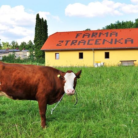 ホテルFarma Ztracenka Porici nad Sazavou エクステリア 写真