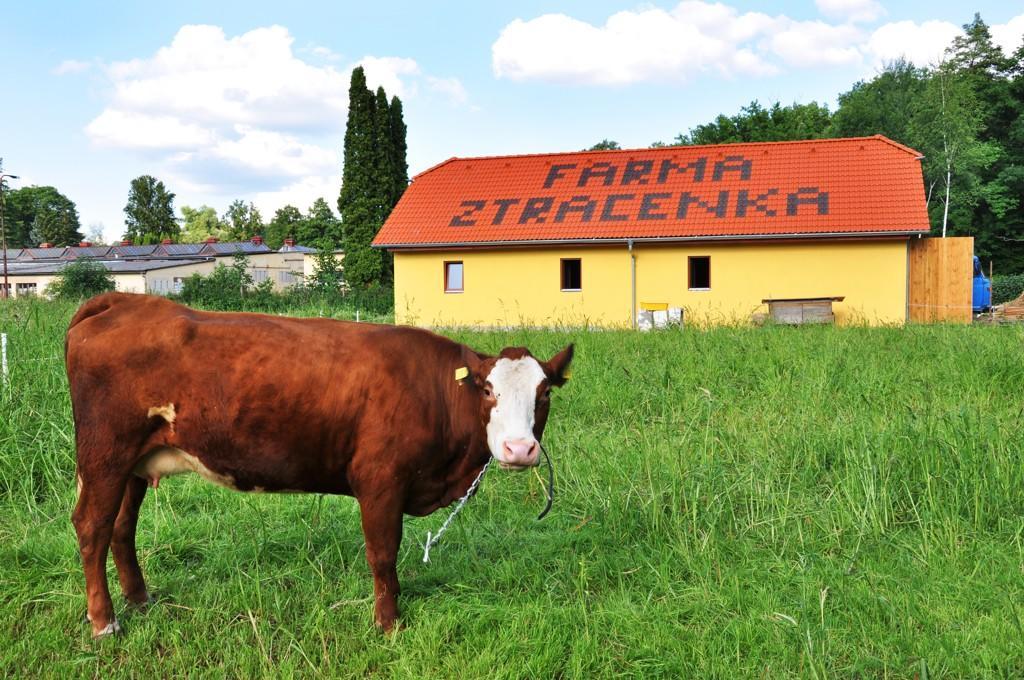 ホテルFarma Ztracenka Porici nad Sazavou エクステリア 写真