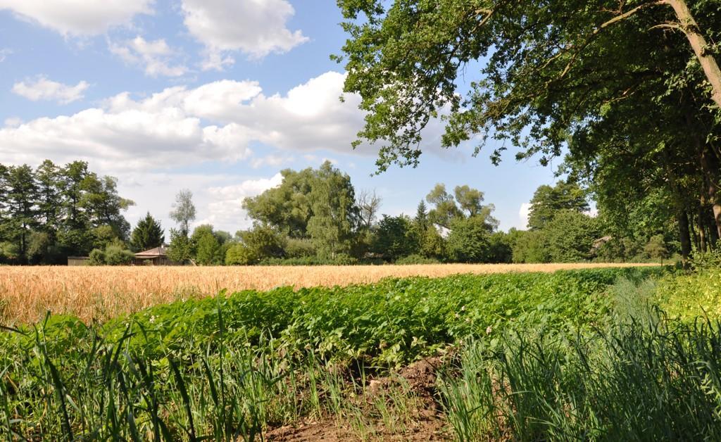 ホテルFarma Ztracenka Porici nad Sazavou エクステリア 写真