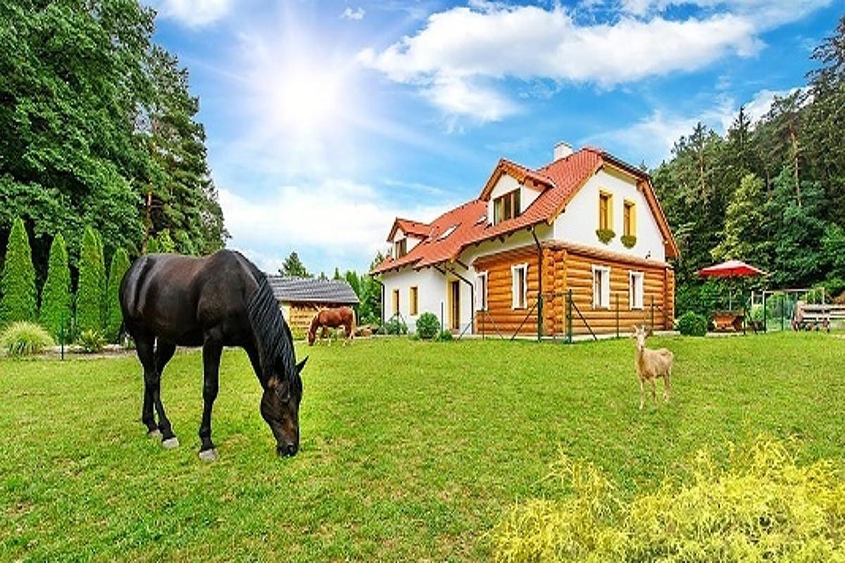 ホテルFarma Ztracenka Porici nad Sazavou エクステリア 写真